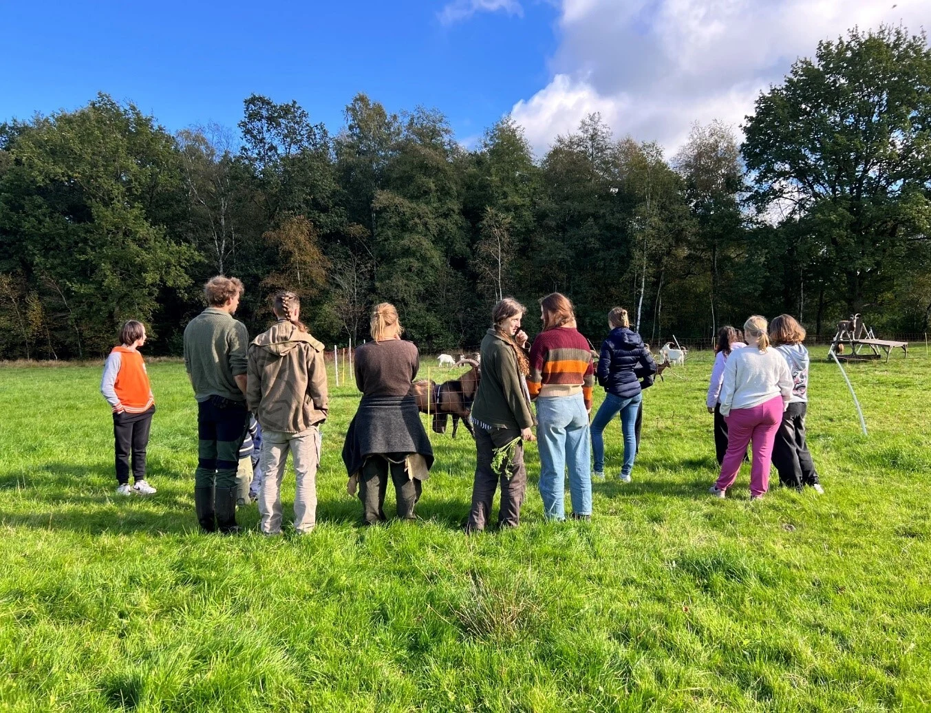Kälbchen Claus und Feuerbohren: Erstes Herbstcamp im Naturpark